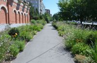 Краски лета у нас на приходе