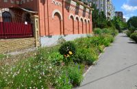 Краски лета у нас на приходе