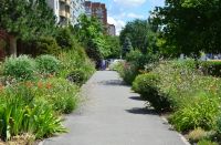 Краски лета у нас на приходе