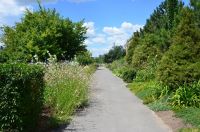 Краски лета у нас на приходе