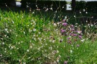 Краски лета у нас на приходе