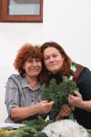 Мастер-класс по созданию венцов из хвои