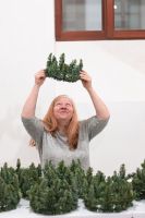 Мастер-класс по созданию венцов из хвои