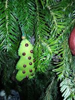 Дорогие братья и сестры!