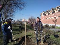 Библейский Сад