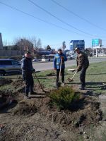 Библейский Сад