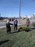 Библейский Сад