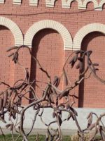 Библейский Сад