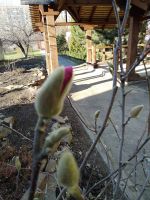 Библейский Сад