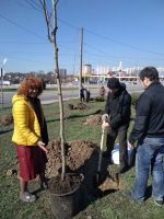 Библейский Сад