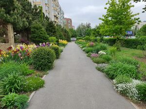 Миксбордер Миксбордер