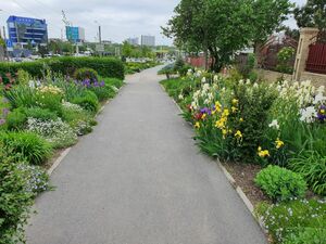 Миксбордер Миксбордер