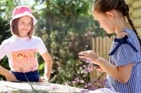 Сень к празднику Успения Богородицы