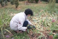 Пятничный субботник удался!