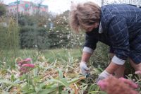 Пятничный субботник удался!
