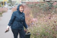 Пятничный субботник удался!