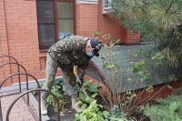 Пятничный субботник удался!