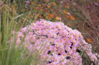 Осень на нашем приходе