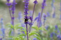 Осень на нашем приходе