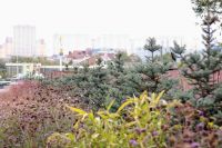 Осень на нашем приходе