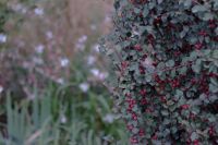 Осень на нашем приходе