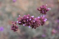 Осень на нашем приходе