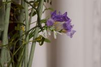 Украшение храма к празднику Сретенья Господня