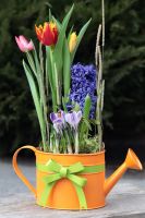 Композиция из луковичных первоцветов