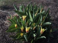 Весна на приходе