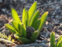 Весна на приходе