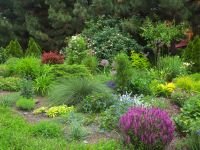 Первые дни лета в нашем саду