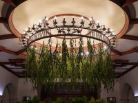 С днем Святого Духа!