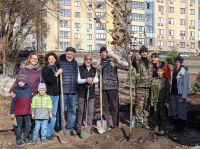 Озеленение Георгиевского парка