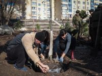 Озеленение Георгиевского парка