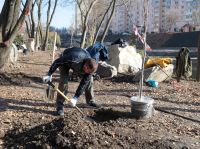 Озеленение Георгиевского парка