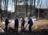 Озеленение Георгиевского парка