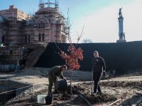 Озеленение Георгиевского парка