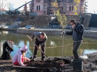 Озеленение Георгиевского парка