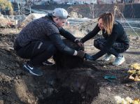 Озеленение Георгиевского парка