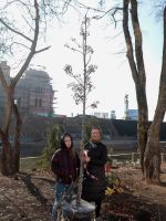 Озеленение Георгиевского парка