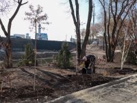 Озеленение Георгиевского парка