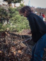 Озеленение Георгиевского парка