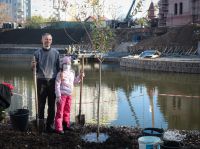 Озеленение Георгиевского парка