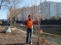 Озеленение Георгиевского парка