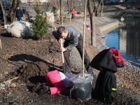 Озеленение Георгиевского парка