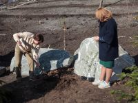 Озеленение Георгиевского парка