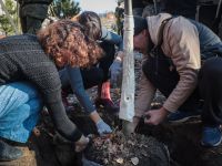 Озеленение Георгиевского парка