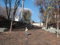 Озеленение Георгиевского парка