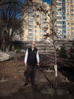 Озеленение Георгиевского парка