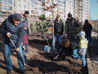 Озеленение Георгиевского парка